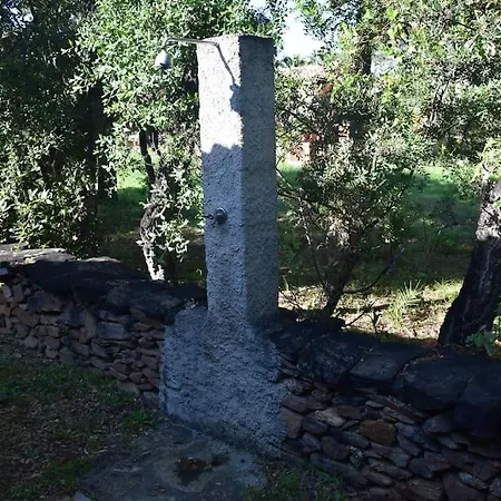 Sulla *